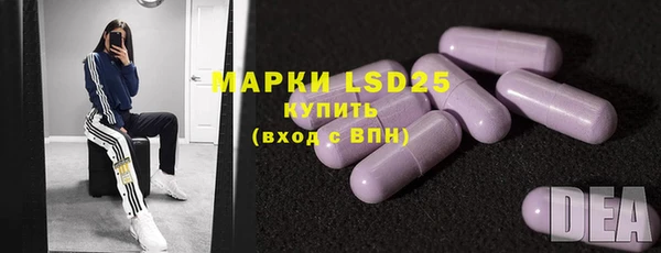дживик Горняк