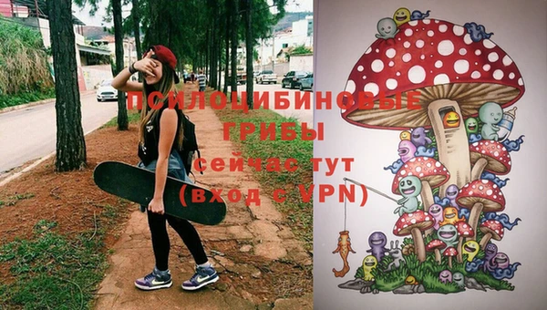 стафф Горно-Алтайск