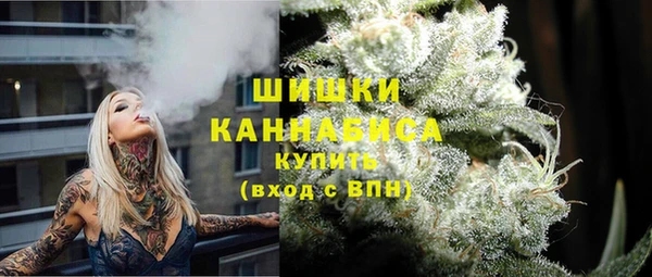дживик Горняк
