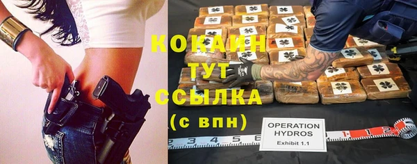дживик Горняк