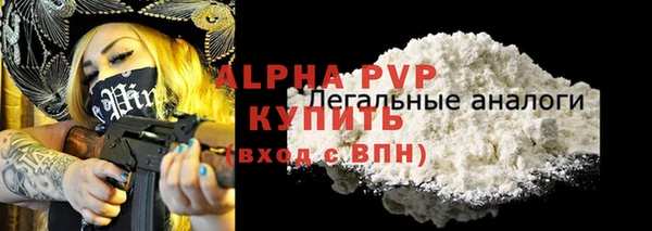 дживик Горняк